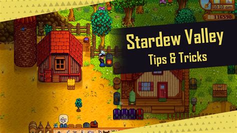 stardew valley gömbhal|Beginner's Guide and Tips .